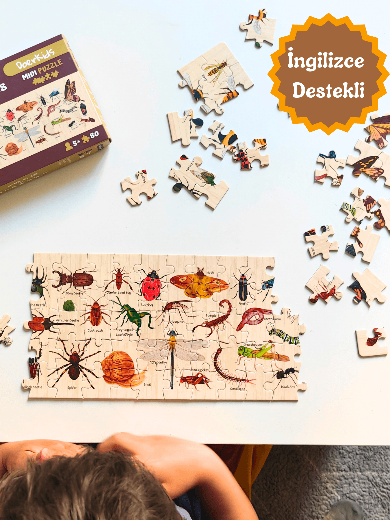 DoerKids Bugs & Insects - Böcekler Midi Puzzle | 80 Parça 5+ Yaş