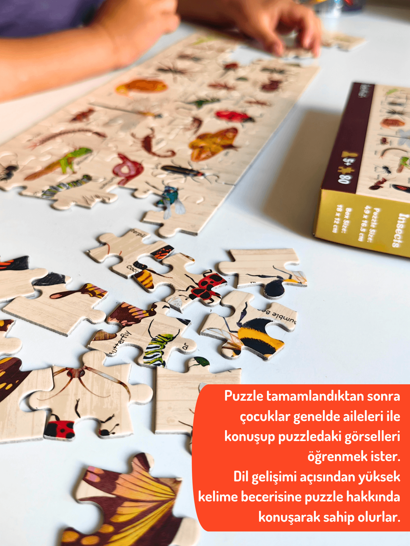 DoerKids Bugs & Insects - Böcekler Midi Puzzle | 80 Parça 5+ Yaş