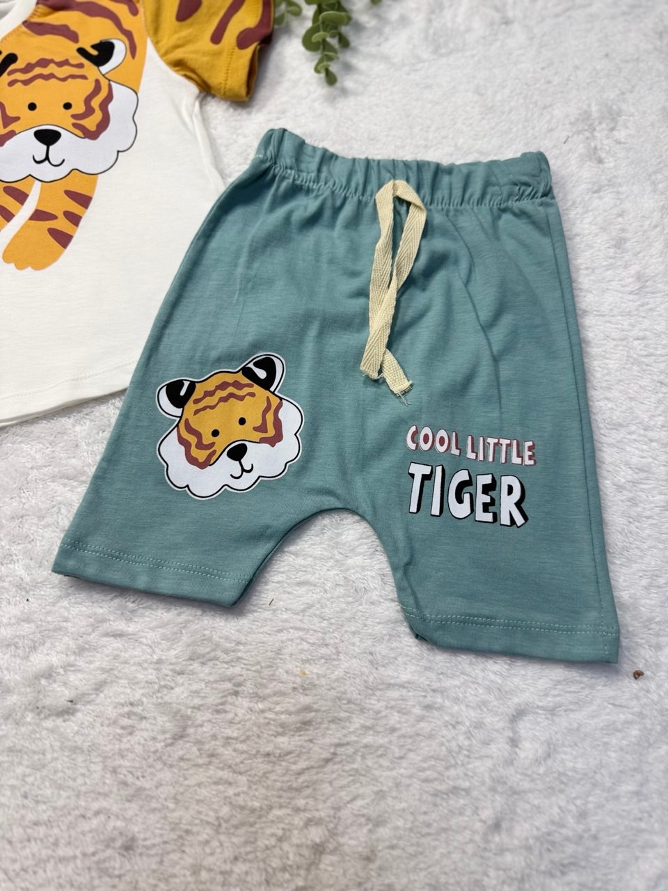 Erkek Bebek Aslan Baskılı 2li Takım