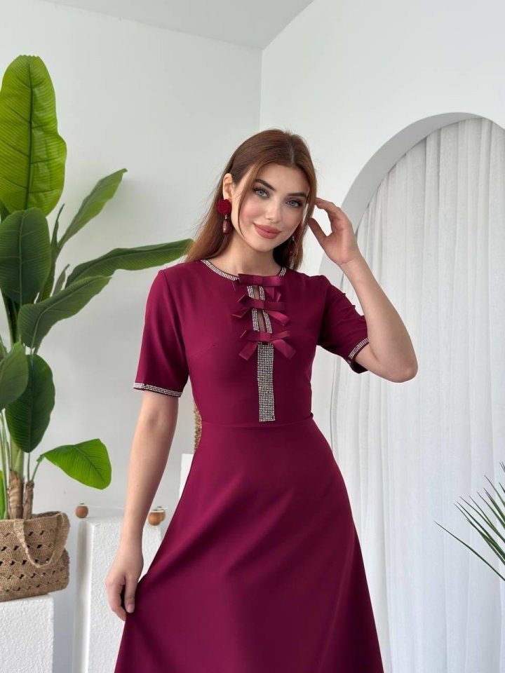 Wera Taşlı Fiyonk Detaylı Elbise