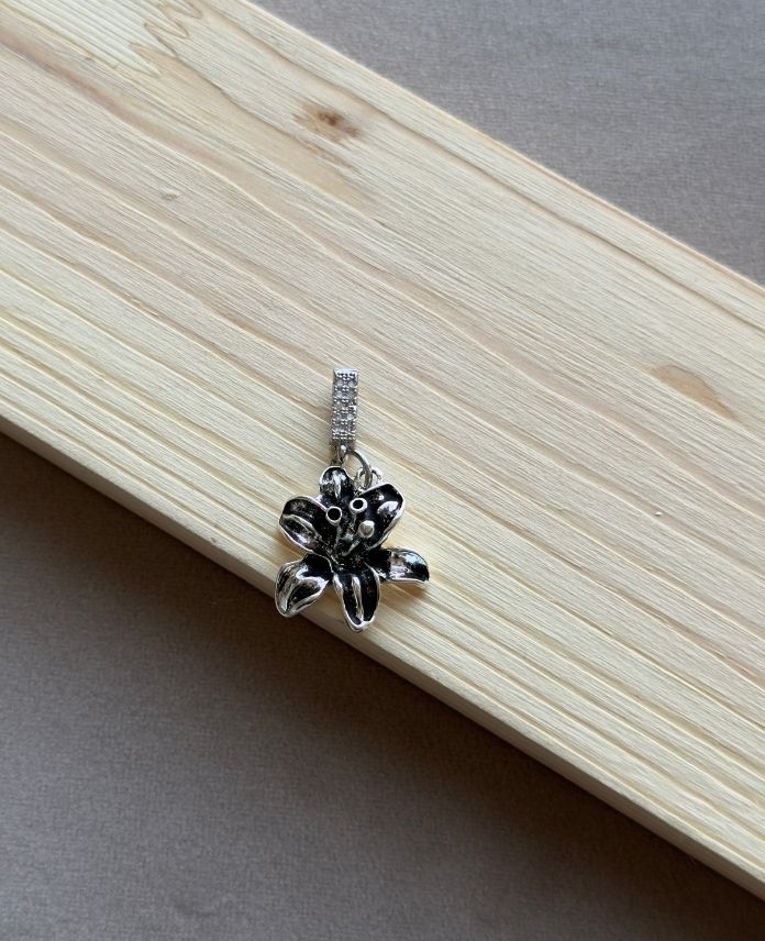 Pirinç Fermuar Charm