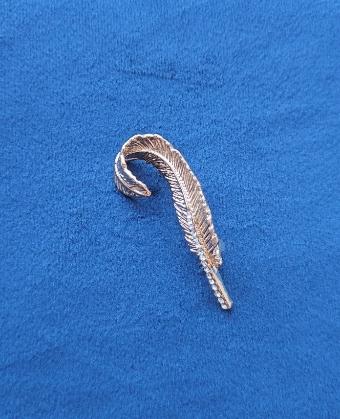 Pirinç Broş