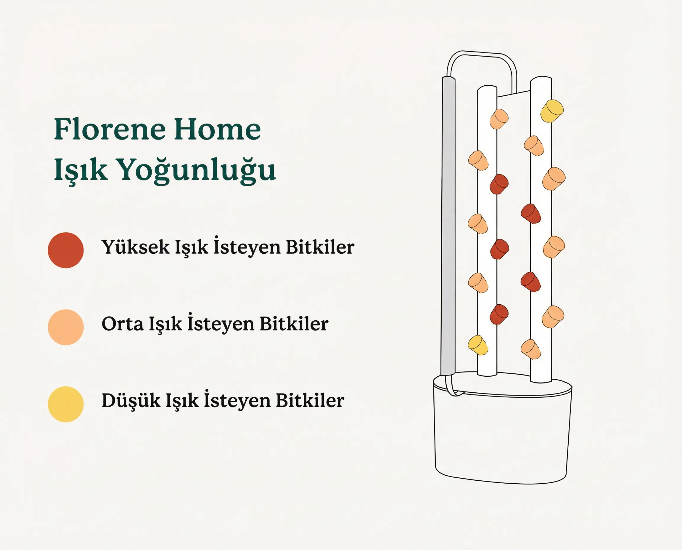Florene Home