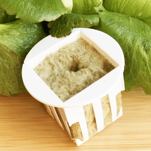 Salata Sever Tohum Kiti