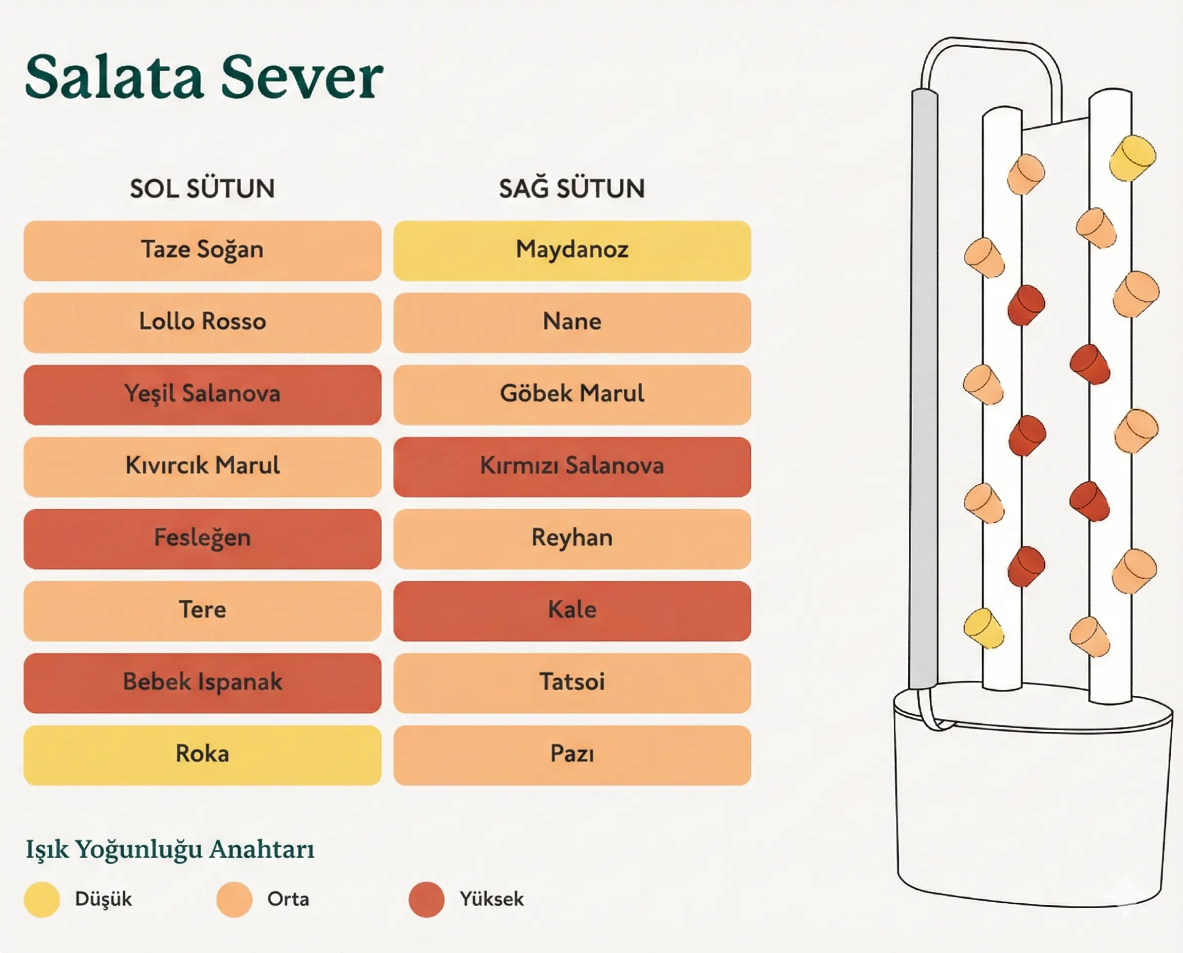 Salata Sever Tohum Kiti