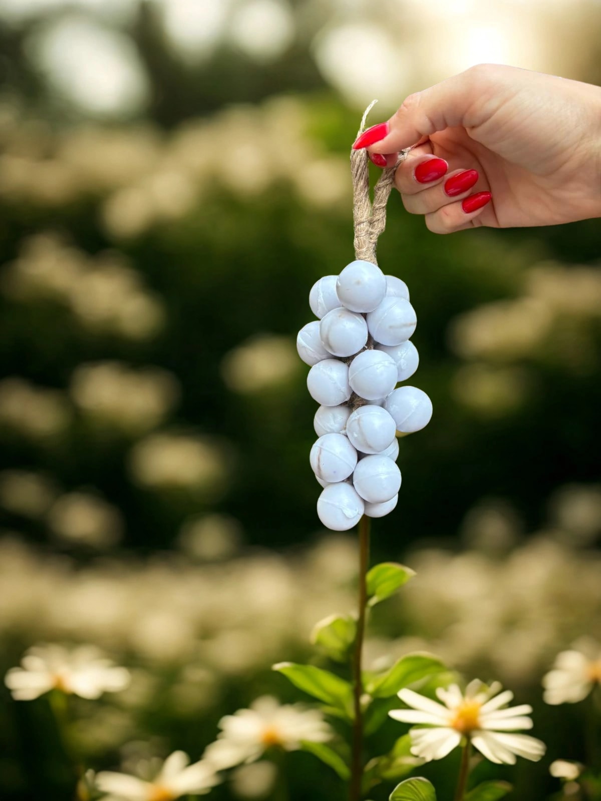 Ay Işığı Üzümü (Moonlight Grape)