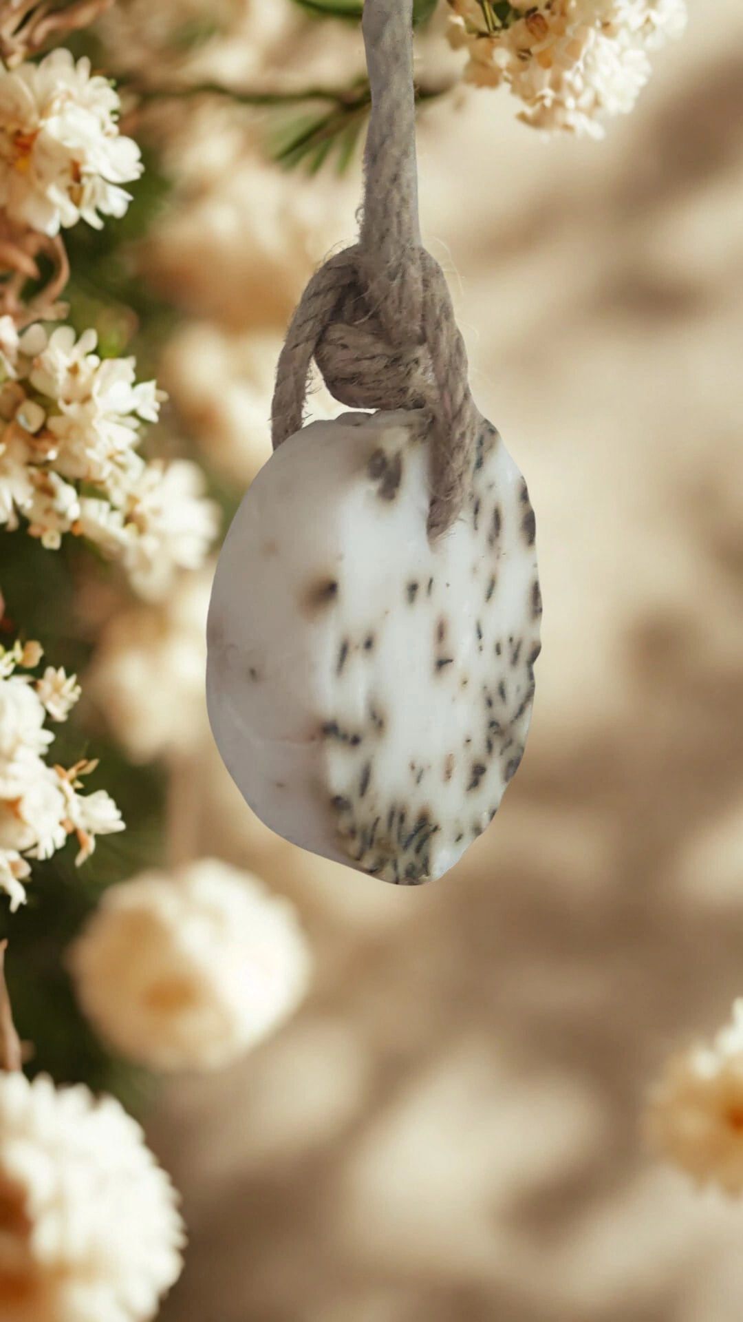 Lavanta Bağı (Lavender Grove)