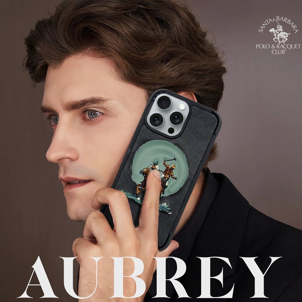 SBPRC iPhone 16 Pro Max Aubrey Magsafe Kılıf