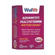Wellvit Advanced Multivitamin 30 Kapsül
