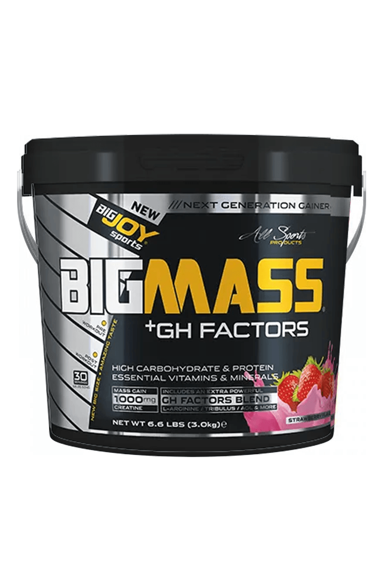 Bigjoy Sports-Bigmass Gh Factors Çilek 3kg