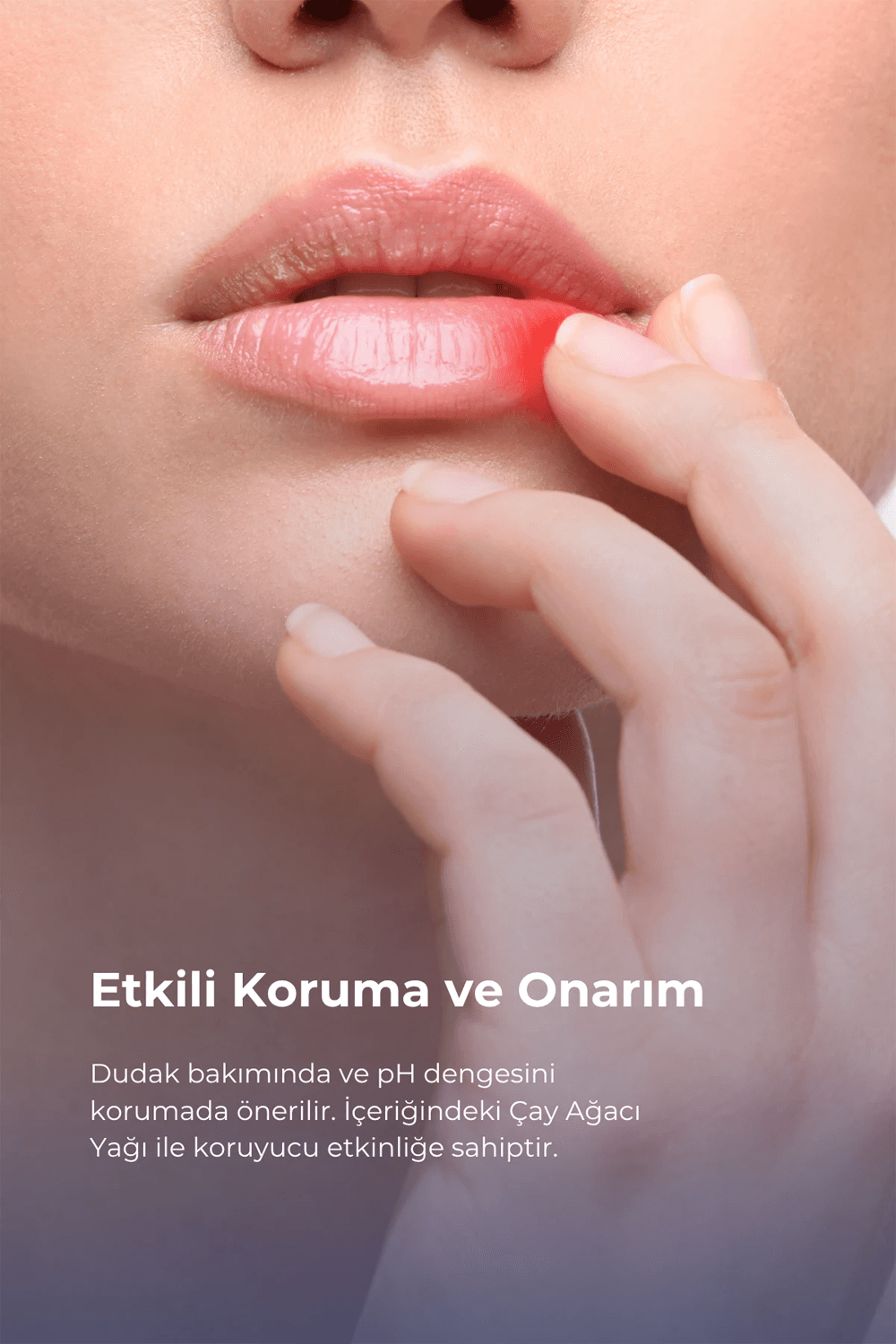 TTO UX Dudak Kremi 10 ml