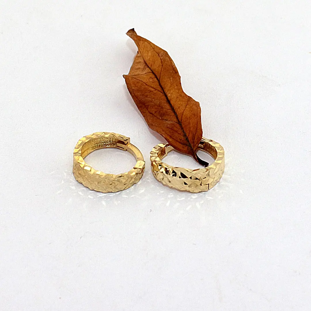 Hoop Earrings