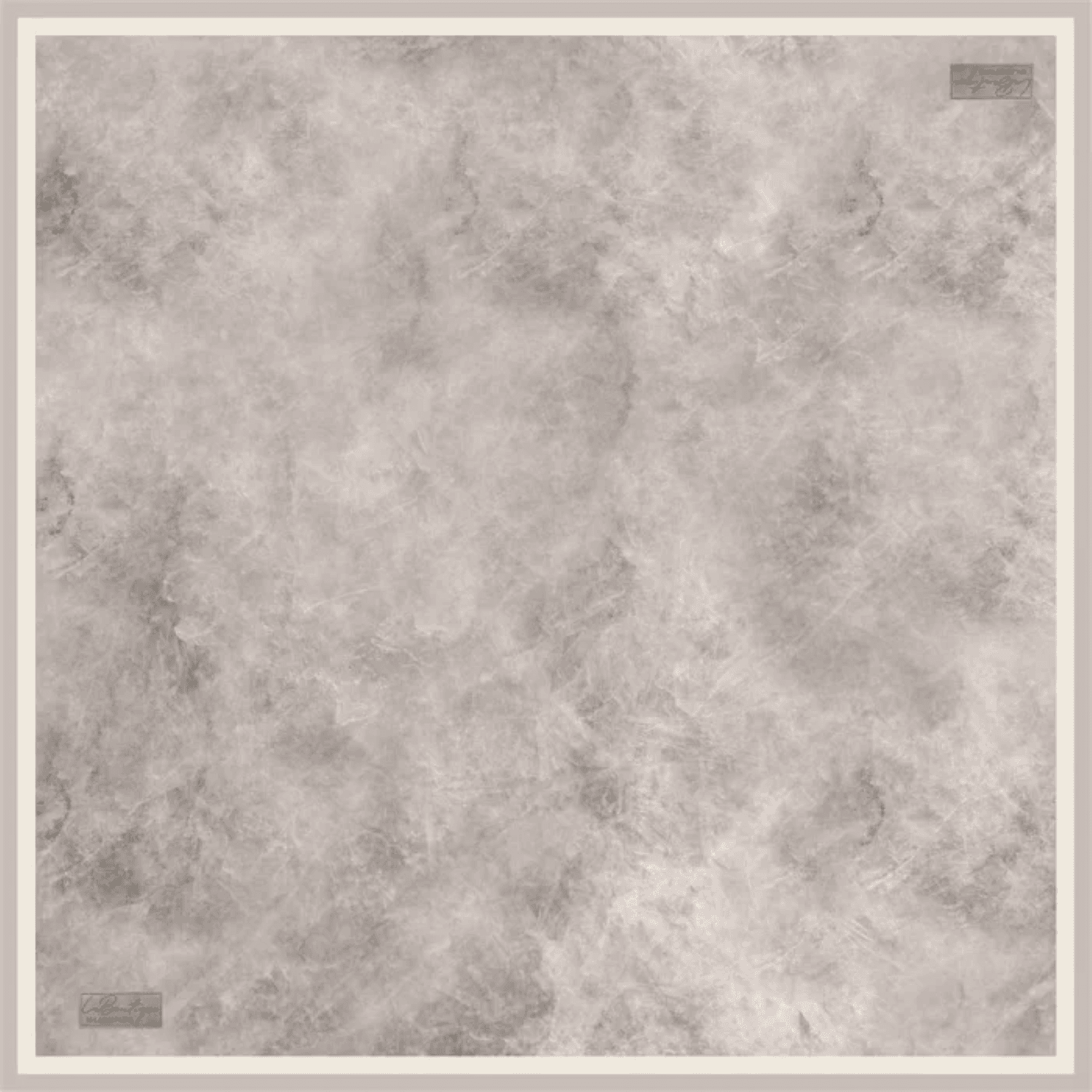 Vizon - 28