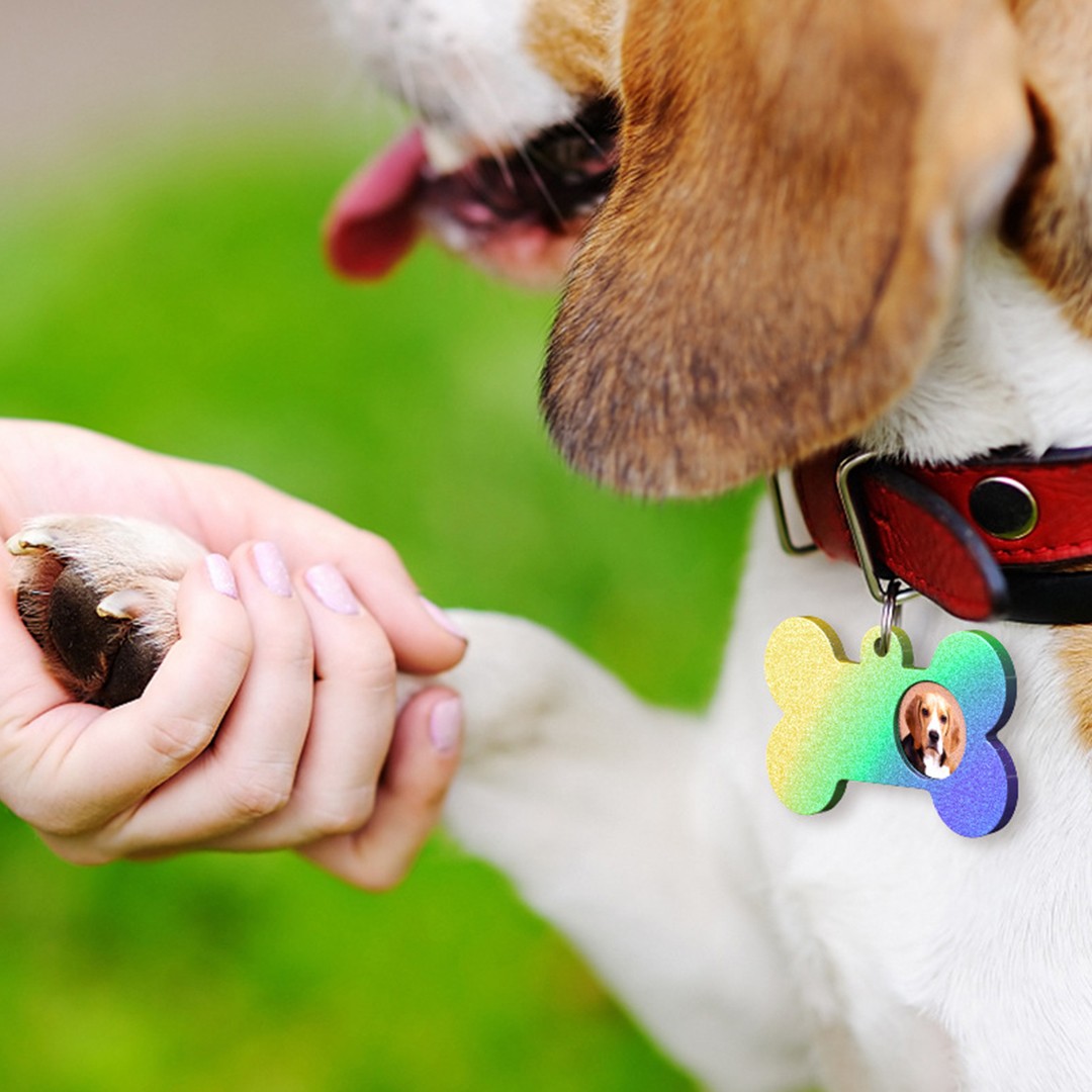 Epoksi Silikon Çoklu Kedi Köpek Tasma İsimlik Kalıbı