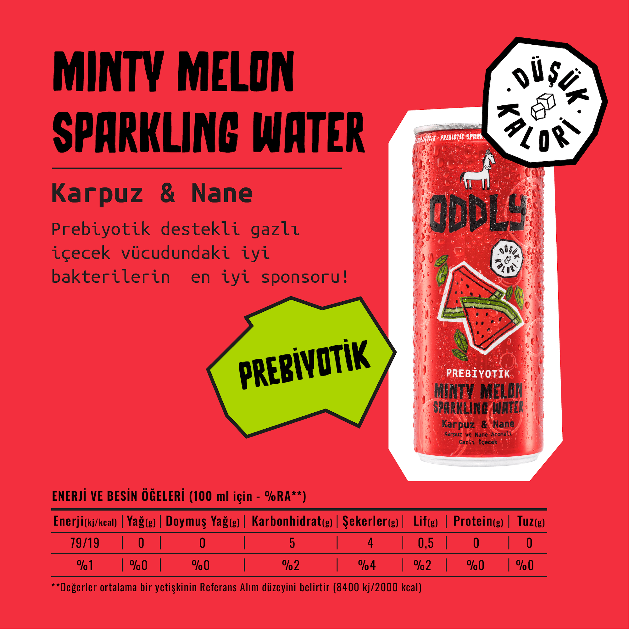MINTY MELON SPARKLING WATER