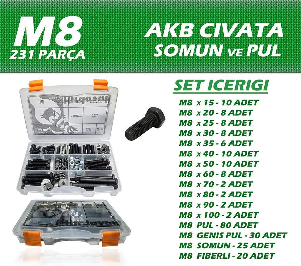 231 Parça M8 AKB Cıvata Seti
