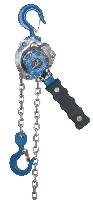 GordonX Mini Hubzug 250 Kg 1m