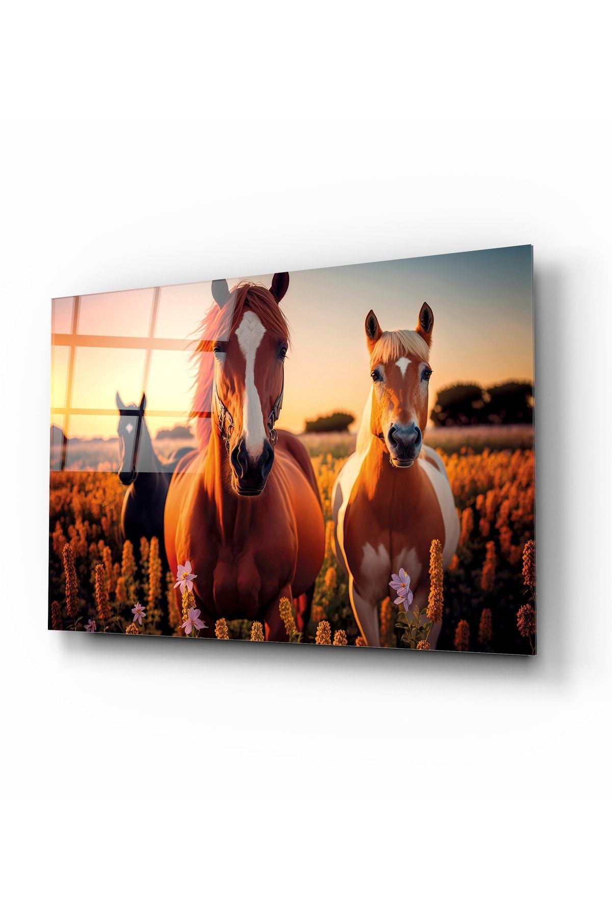 Palomino Atları Cam Tablo