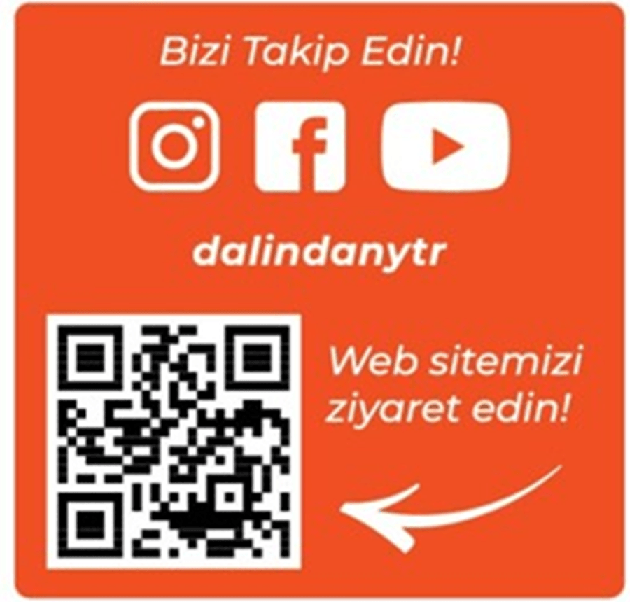 Dondurularak Kurutulmuş Şeftali Dilimleri 20 Gram X3