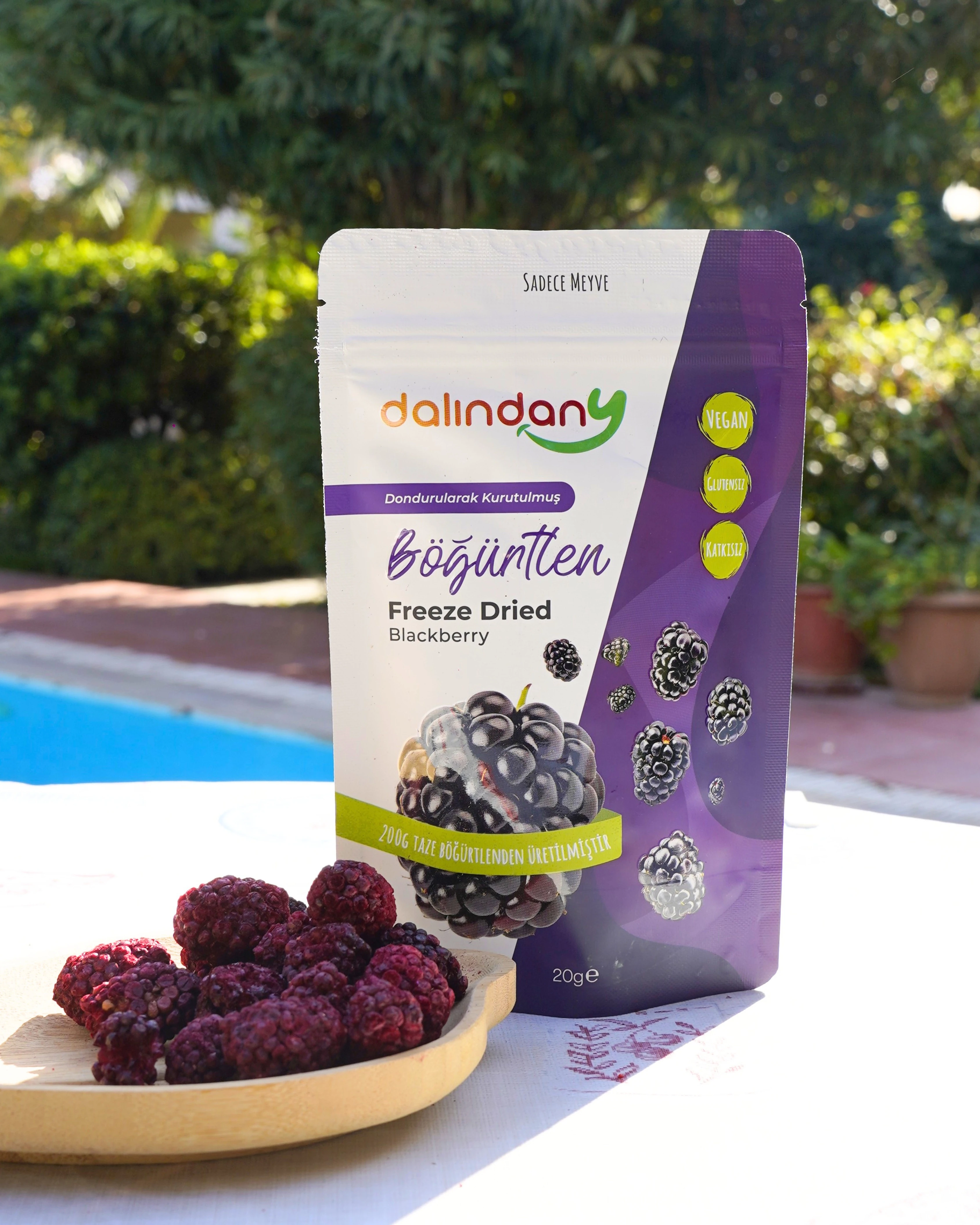 Dondurularak Kurutulmuş Böğürtlen Dilimleri 20 Gram X3