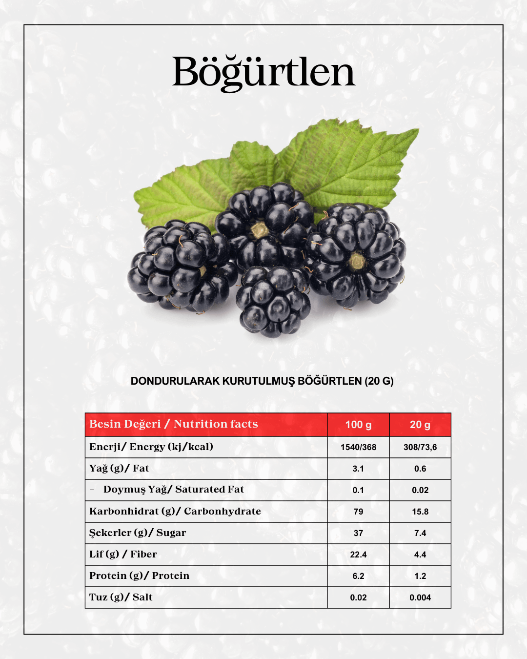 Böğürtlen