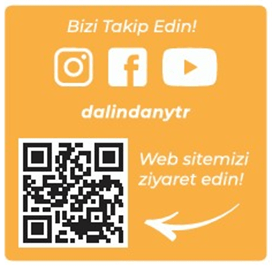 Dondurularak Kurutulmuş Mango Dilimleri 20 Gram X3