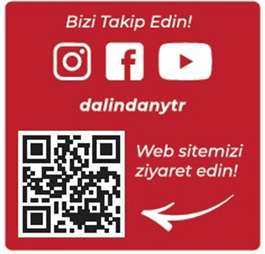 Dondurularak Kurutulmuş Çilek Dilimleri 20 Gram X3