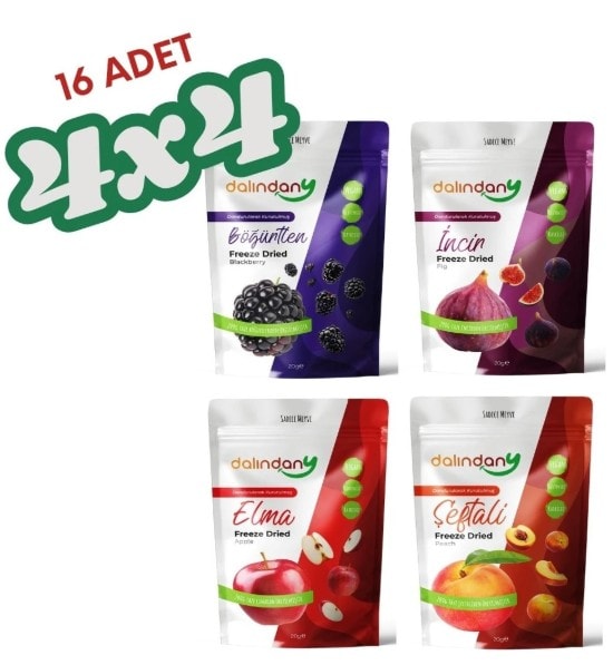 Dondurularak Kurutulmuş Yaz Meyveleri 20 Gram x 16 Adet