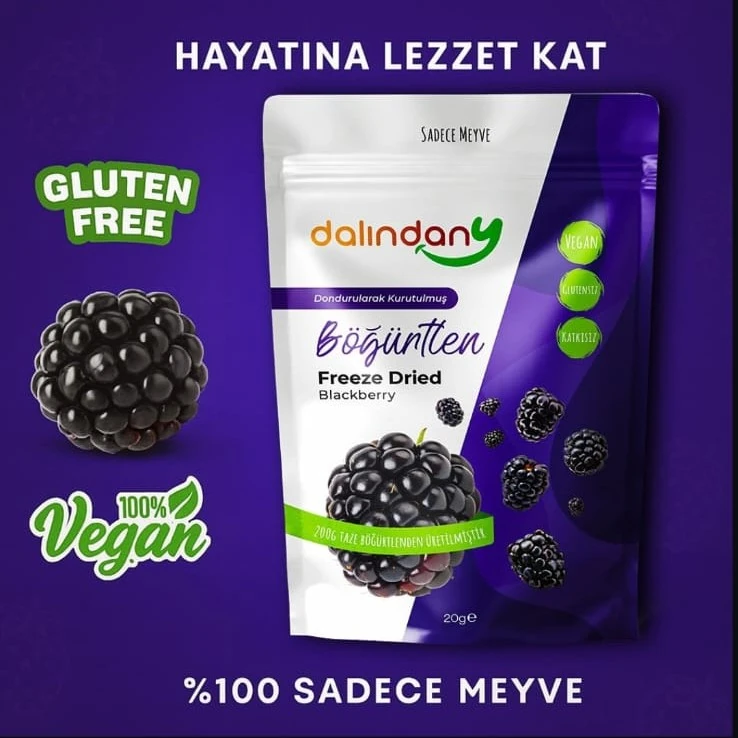 Dondurularak Kurutulmuş Böğürtlen Dilimleri 20 Gram X3