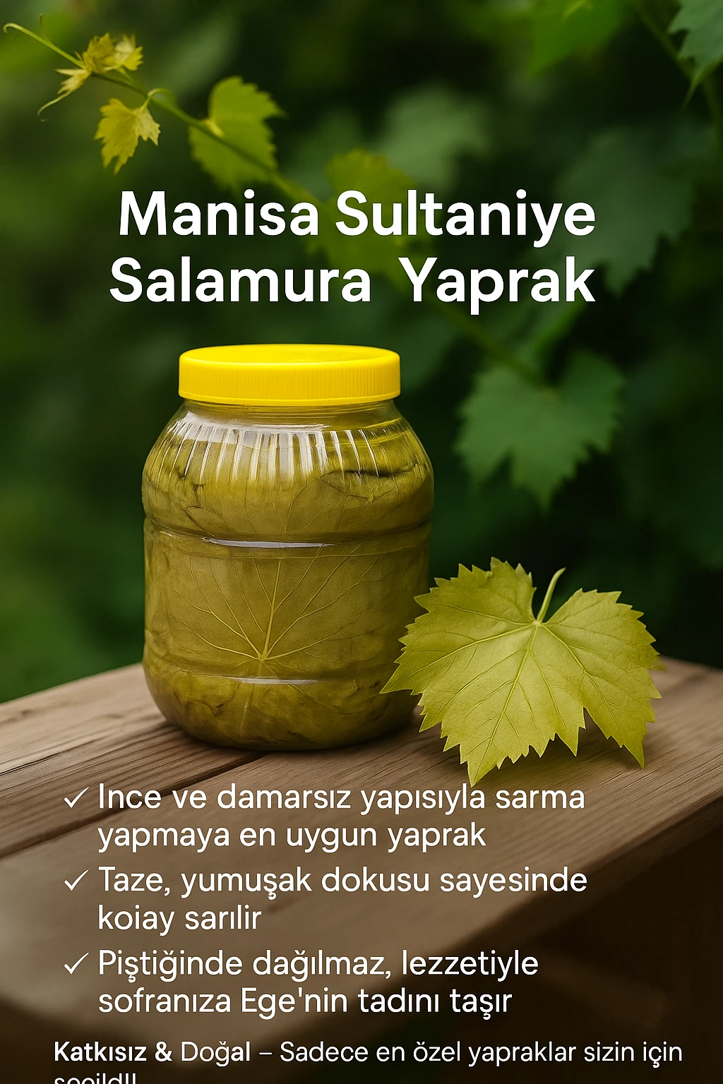 Manisa Sultaniye 10 kg. Salamura Asma Yaprağı – İnce Damarsız, El İşi Seçme Yaprak