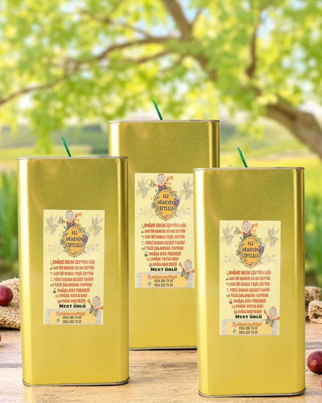 15 Litre ERKEN HASAT Soğuk Sıkım Ayvalık Zeytinyağı | Katkısız ve Doğal | ALİ DEDENİN ÇİFTLİĞİ