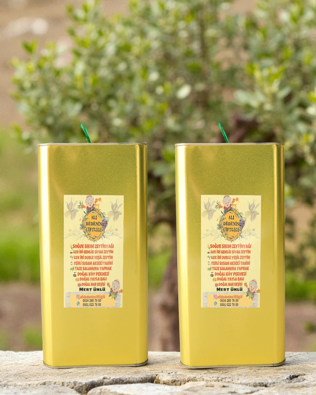 10 Litre ERKEN HASAT Soğuk Sıkım Ayvalık Zeytinyağı | Katkısız ve Doğal | ALİ DEDENİN ÇİFTLİĞİ