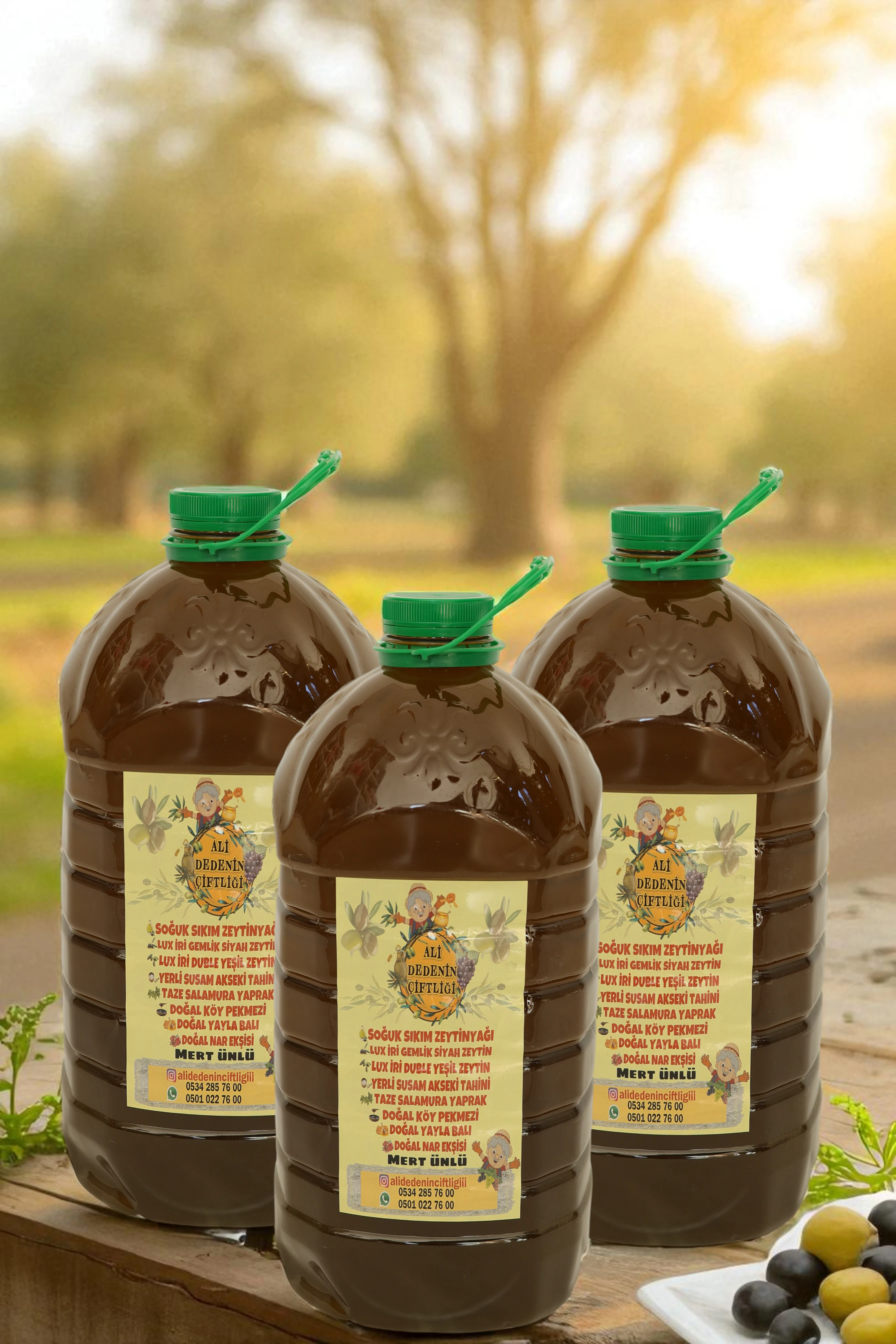 15 Litre ERKEN HASAT Soğuk Sıkım Ayvalık Zeytinyağı (PET) | Katkısız ve Doğal | ALİ DEDENİN ÇİFTLİĞİ