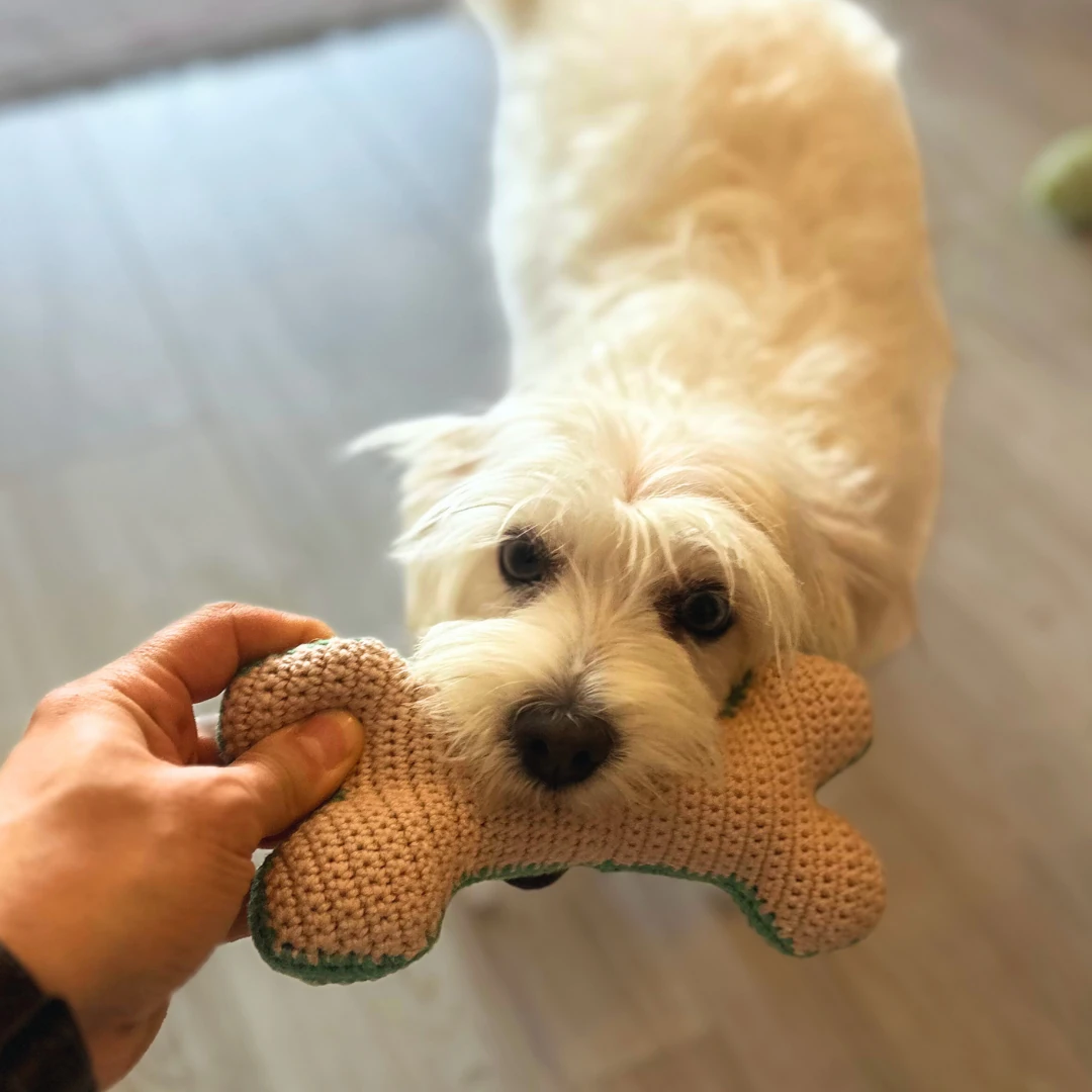 Kemik Köpek Oyuncağı