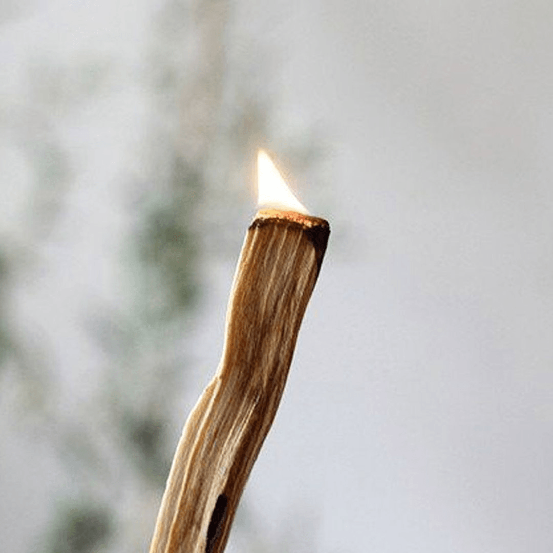 Natural Palo Santo Tütsü Ağacı 2'li Set