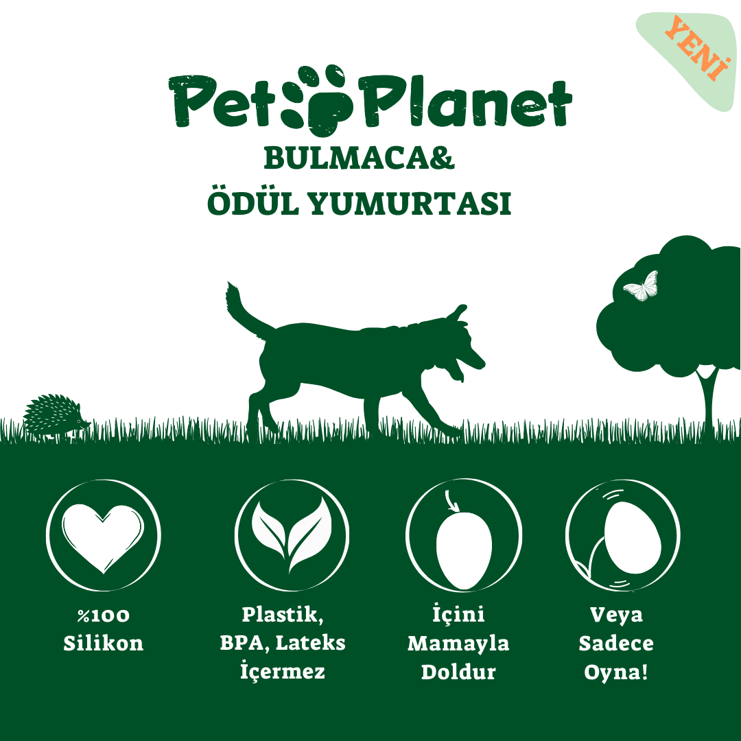 Silikon Bulmaca ve Ödül Yumurtası Orman Yeşili