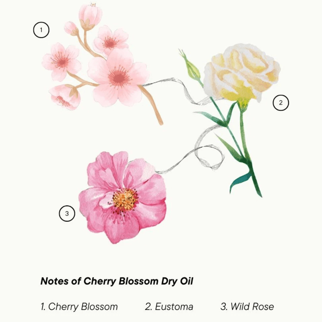 Cherry Blossom Kuru Yağ - Dry Oil