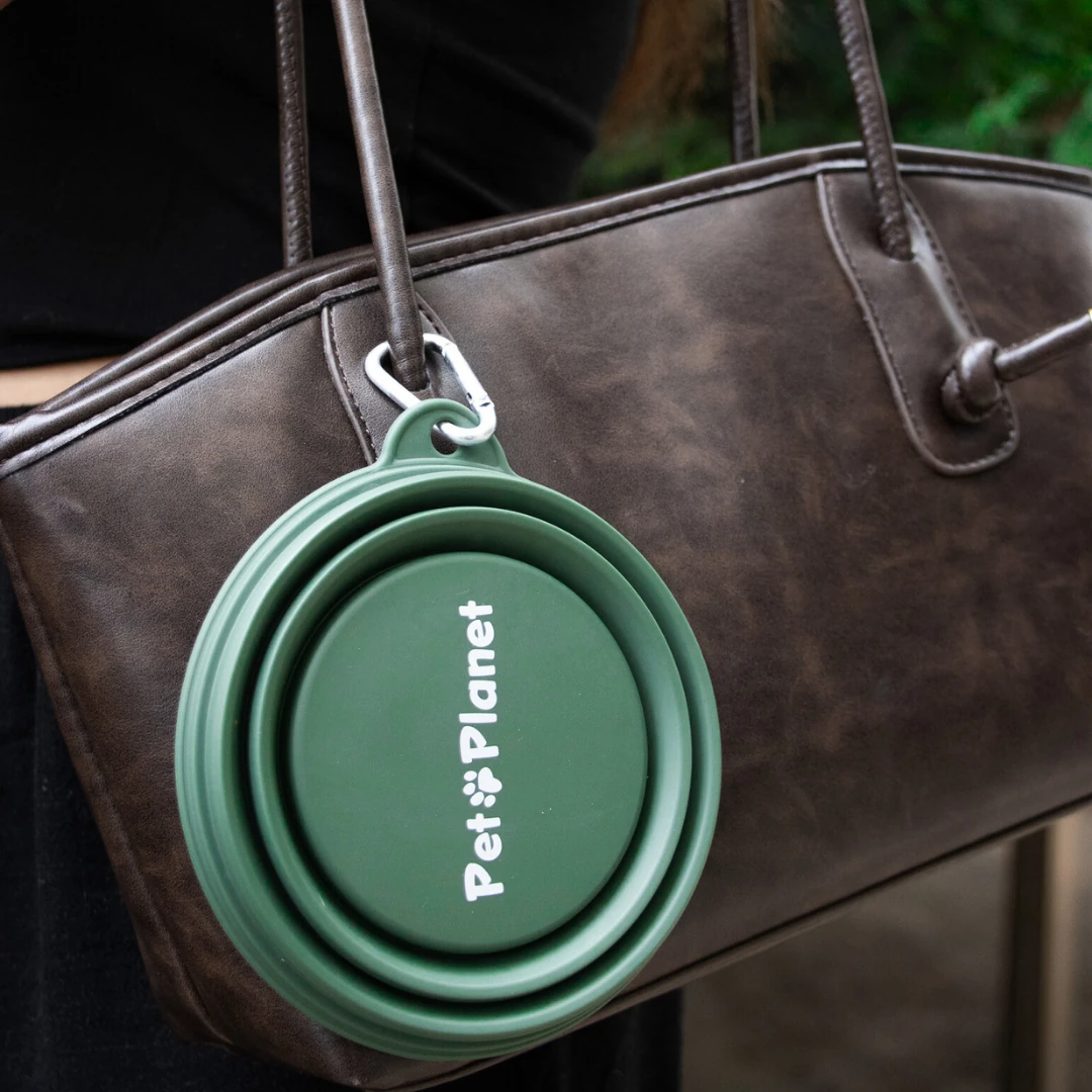 Katlanabilir Evcil Hayvan Seyahat Mama Kabı