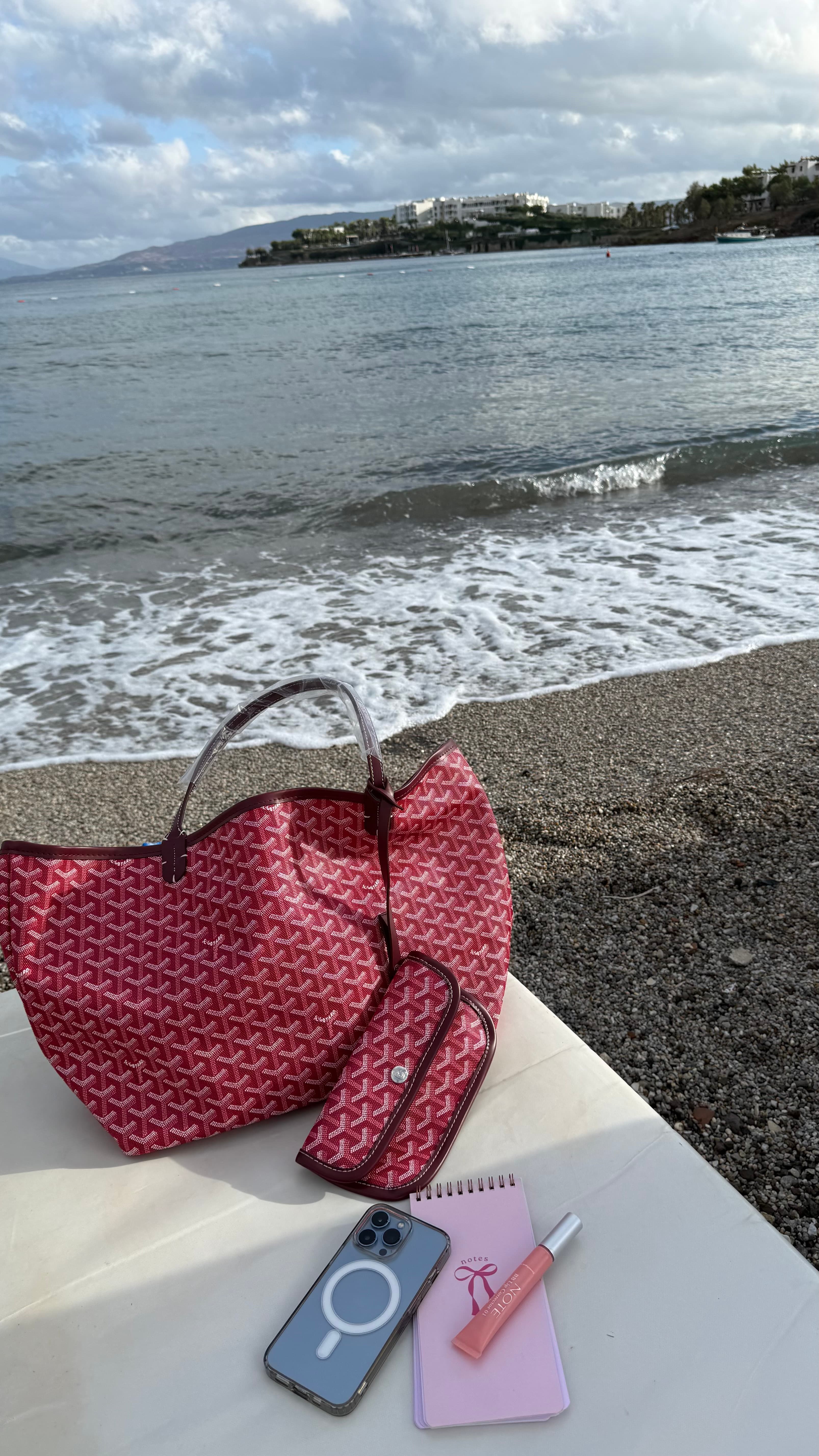 GOYARD SAİNT-BORDO