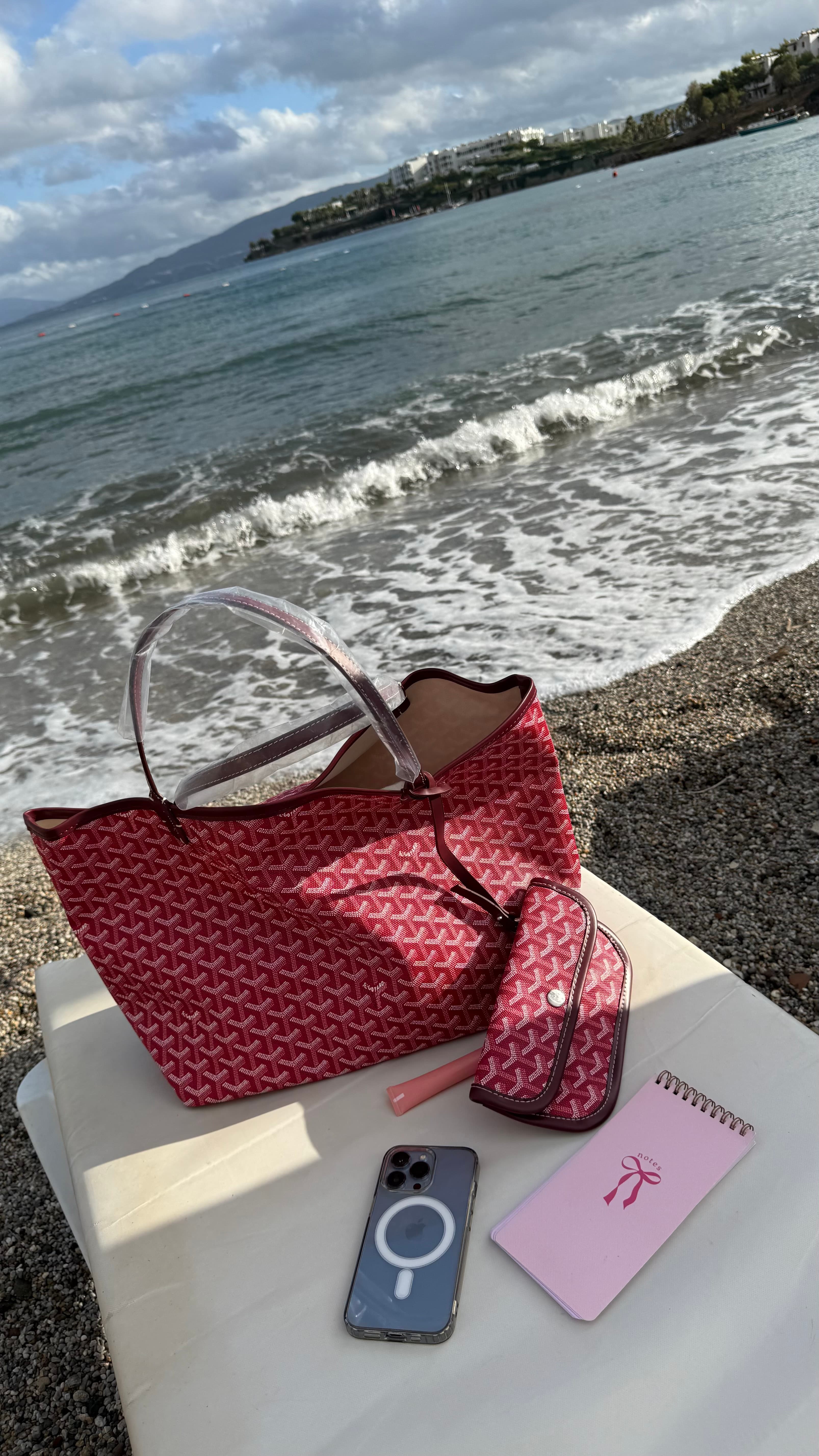 GOYARD SAİNT-BORDO