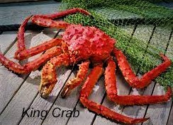 King Crab Paket (Kral Yengeç)