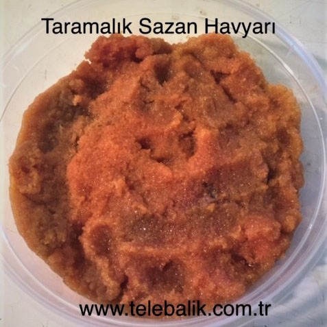 Tarama (Sazan Havyarından) Pakette