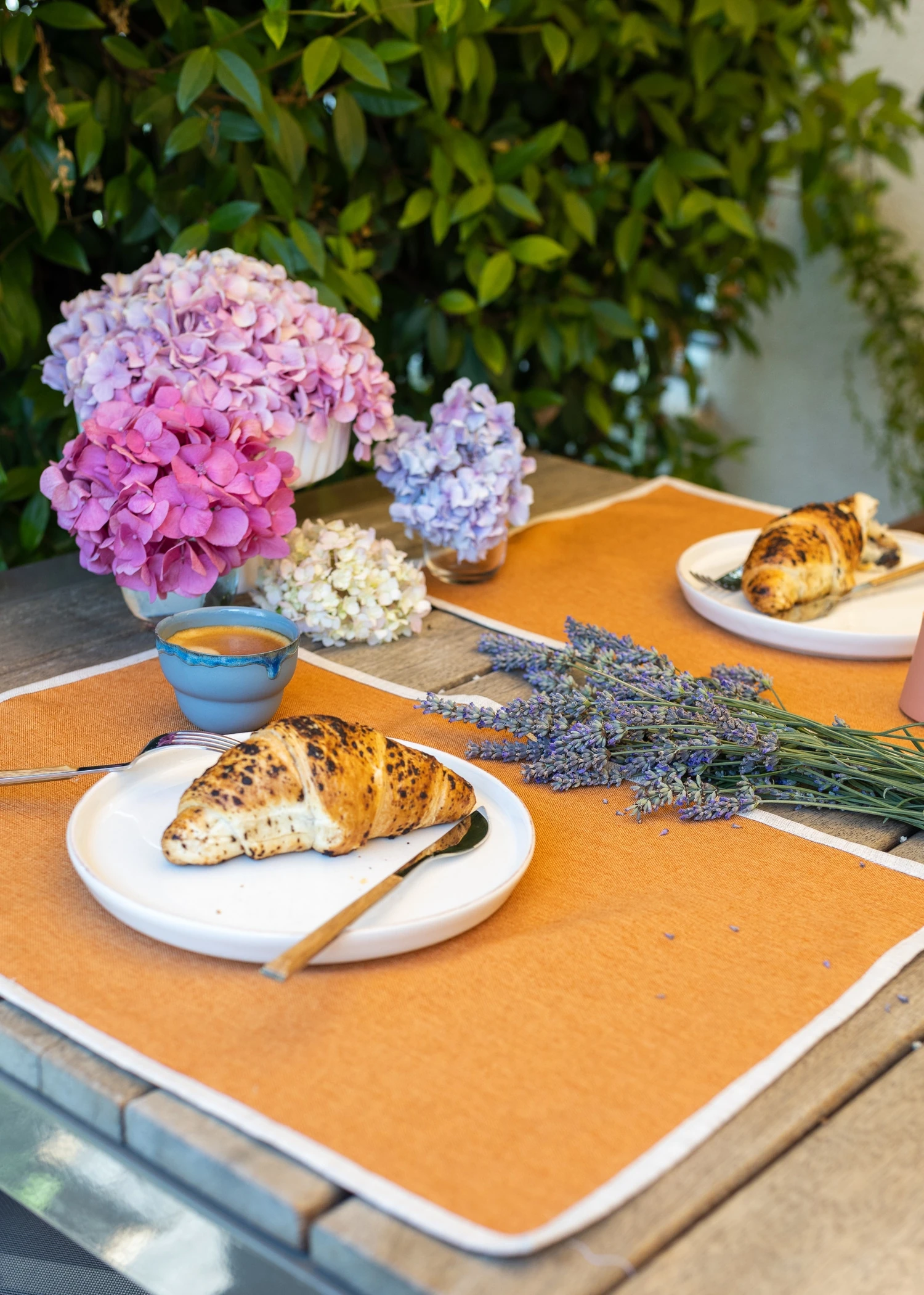 Biyeli Amerikan Servisi