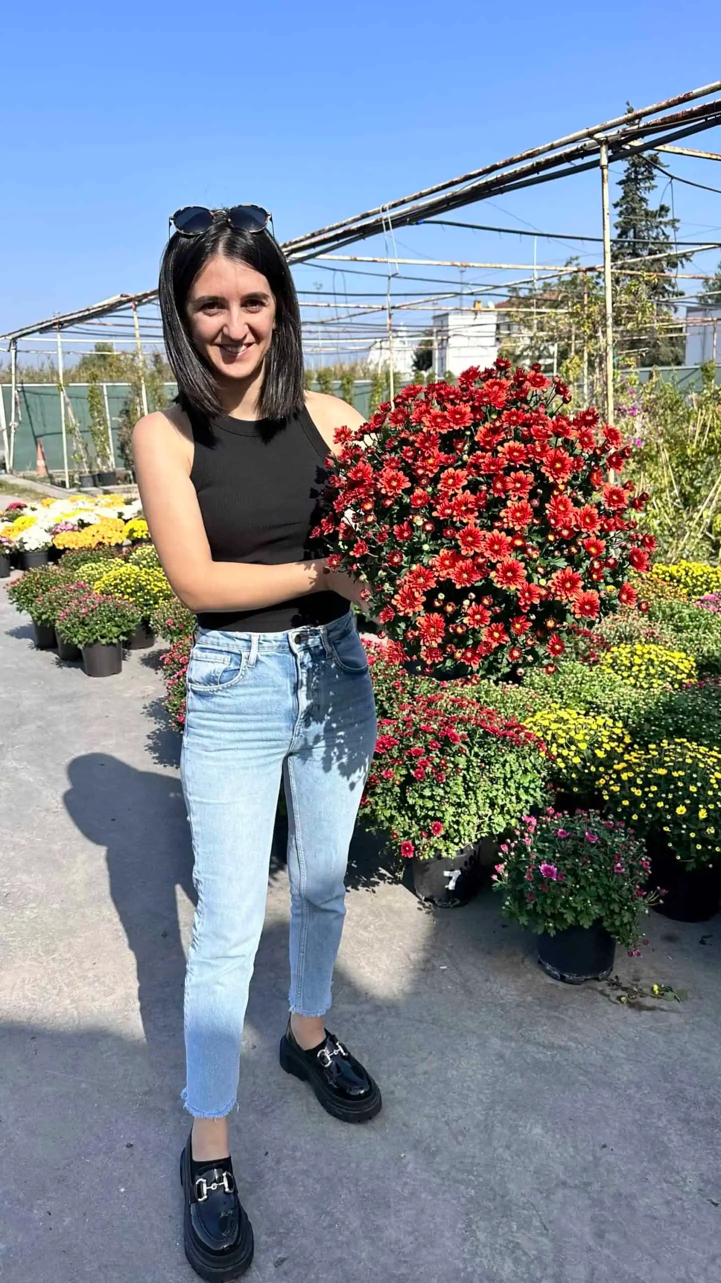 Kasım patı XXL