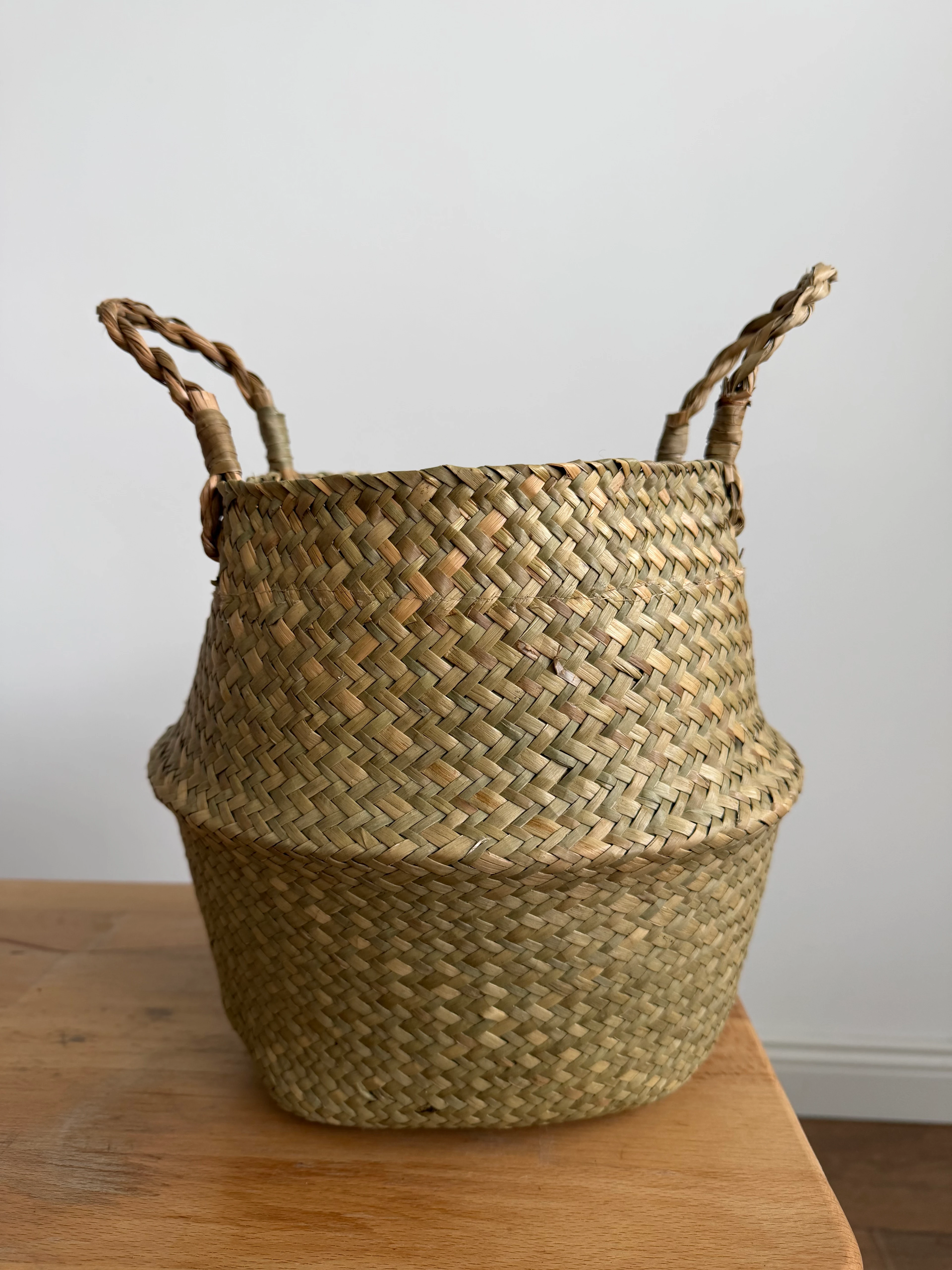 Hasır Dekoratif Kulplu Saksı (Tayland İçi Poşetli)