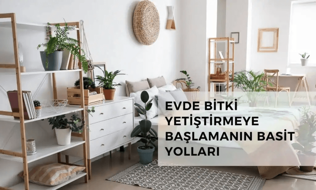 Evde Bitki Yetiştirmenin Basit Yolları