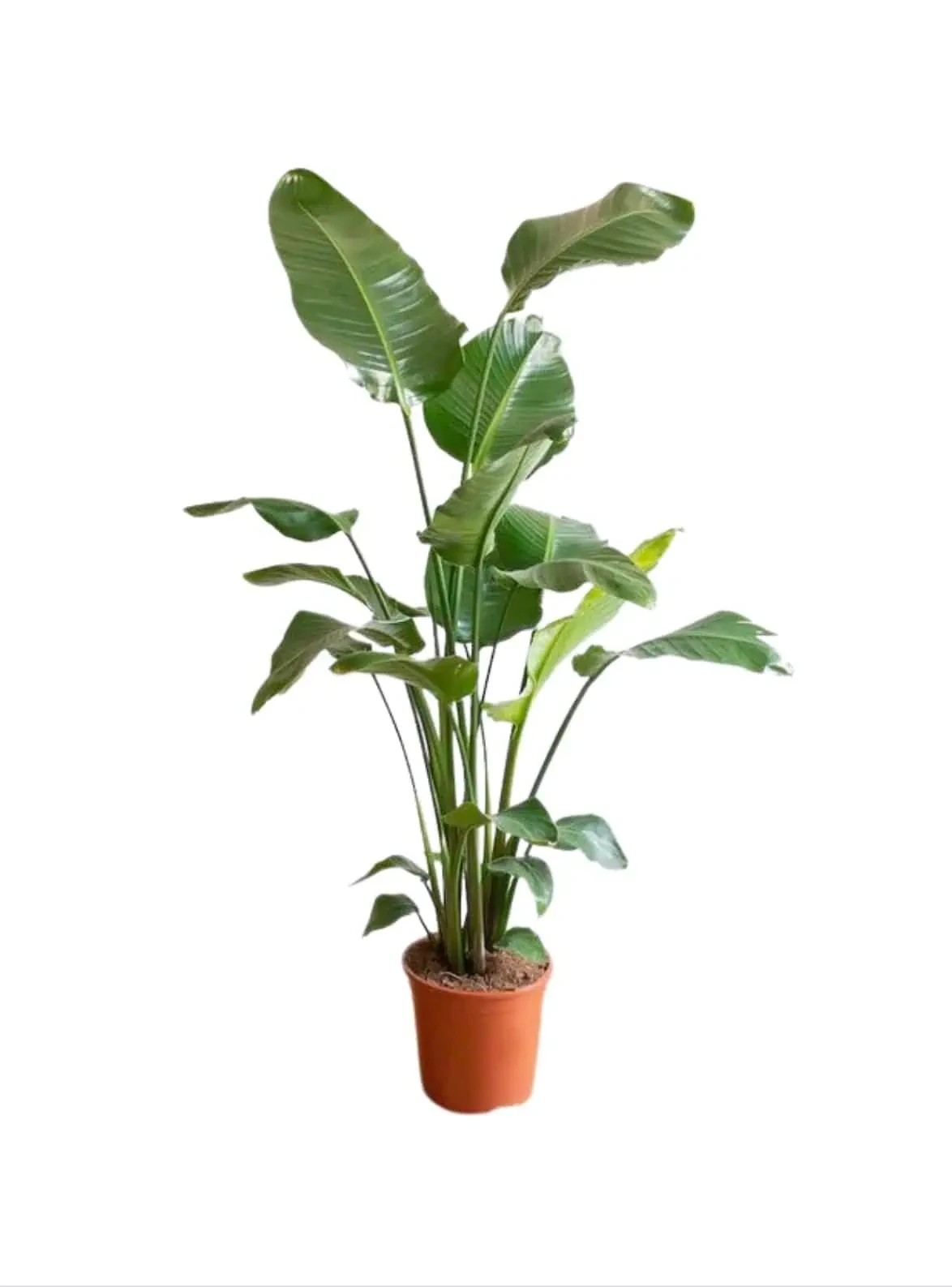 Test 27