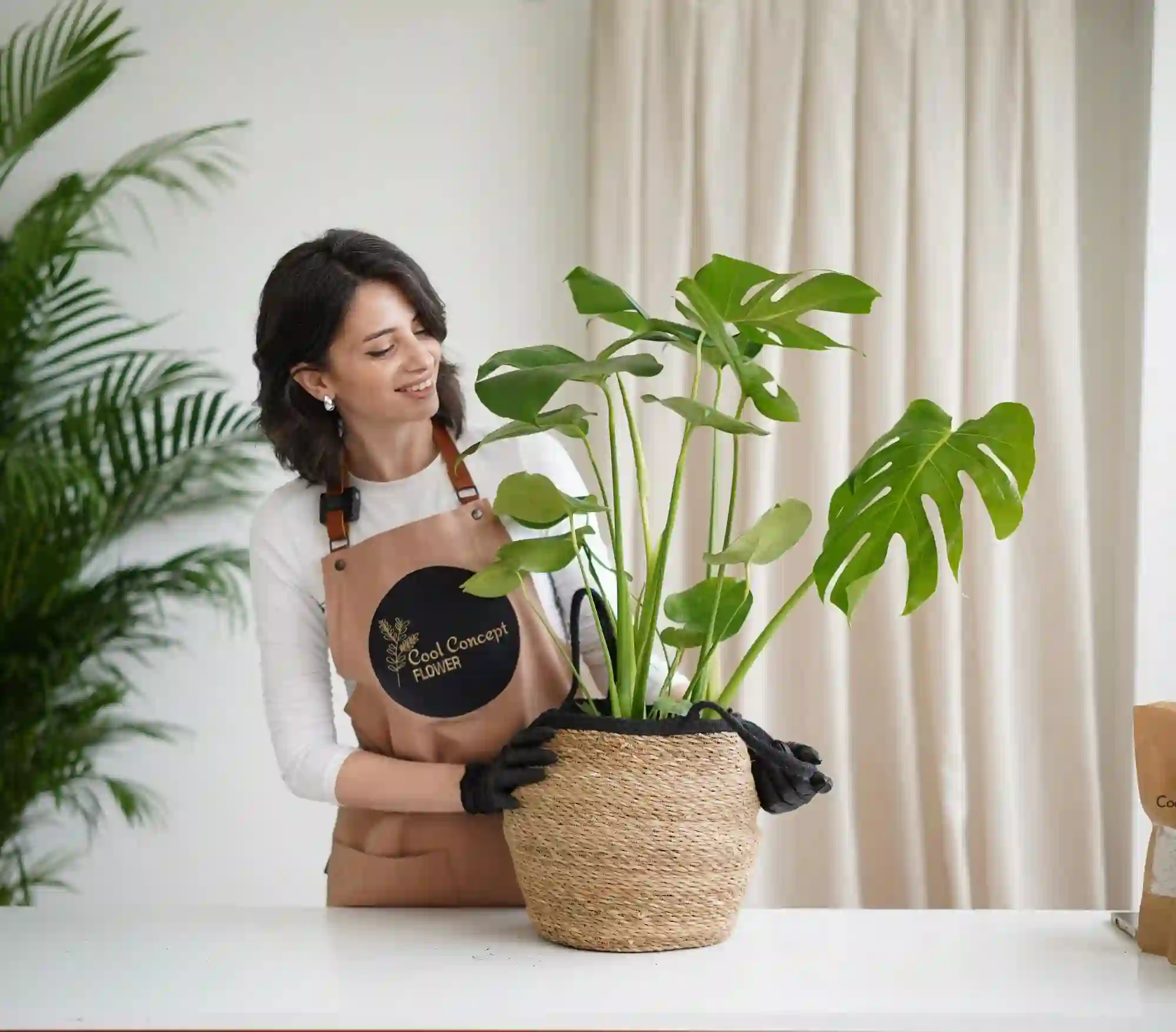 Deve Tabanı (Monstera) Bakımı Nasıl Yapılır? 2026 Güncel Rehber