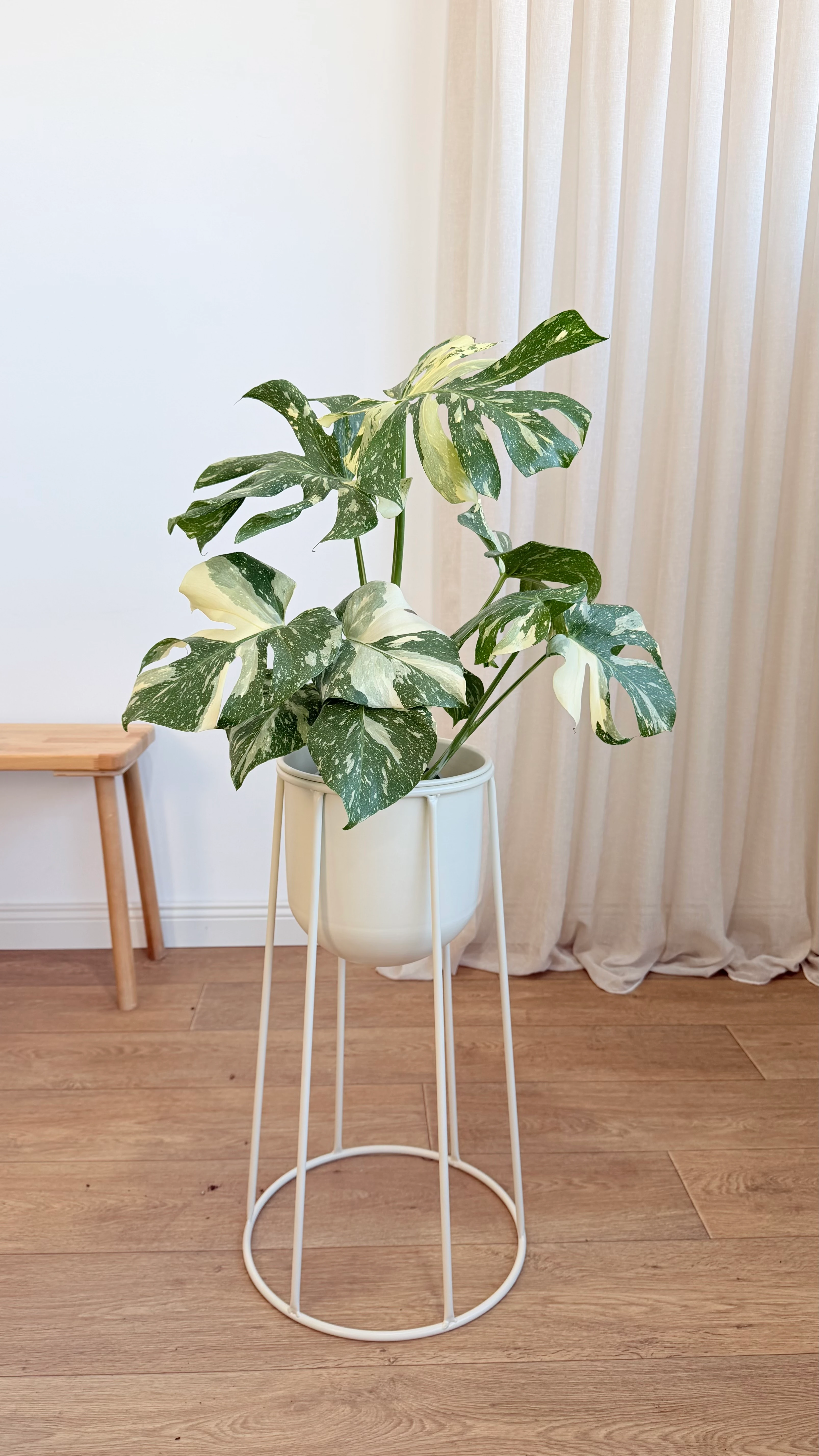 Luna Krem Ayaklı Metal Saksı