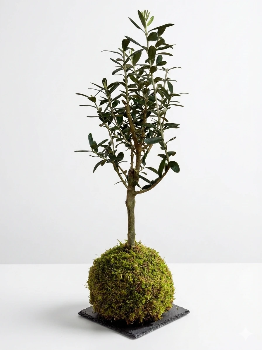ikea fejka bonsai IKEA : FEJKA : Artificial Potted Plant , In/Outdoor Weeping Fig Stem – Casa  De Avenue main image 0